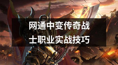 网通中变传奇战士职业实战技巧