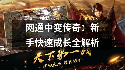 网通中变传奇：新手快速成长全解析