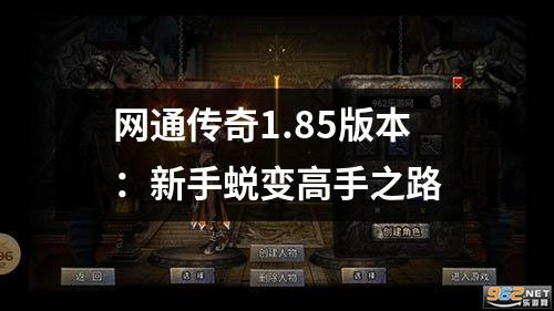 网通传奇1.85版本：新手蜕变高手之路