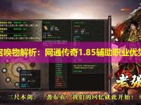 道士召唤物解析：网通传奇1.85辅助职业优势分析