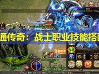 邹平网通传奇：战士职业技能搭配指南