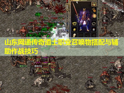 山东网通传奇道士职业召唤物搭配与辅助作战技巧