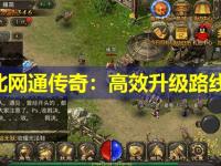 东北网通传奇：高效升级路线图