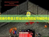 山东网通传奇道士职业召唤物搭配与辅助作战技巧