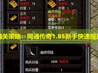 副本通关策略：网通传奇1.85新手快速提升指南
