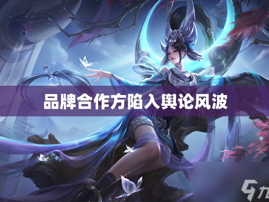 品牌合作方陷入舆论风波