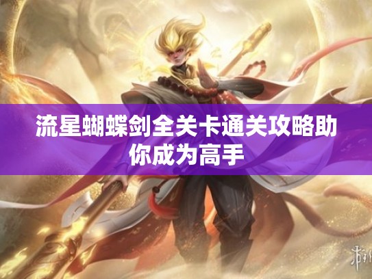 流星蝴蝶剑全关卡通关攻略助你成为高手