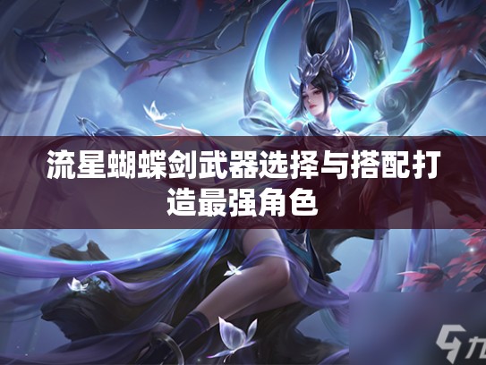 流星蝴蝶剑武器选择与搭配打造最强角色