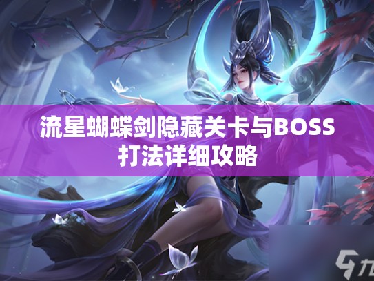 流星蝴蝶剑隐藏关卡与BOSS打法详细攻略