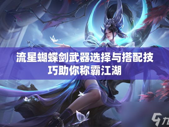 流星蝴蝶剑武器选择与搭配技巧助你称霸江湖