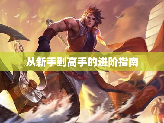 从新手到高手的进阶指南