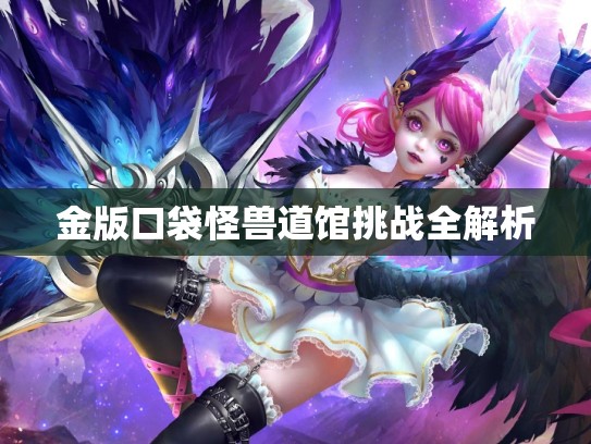 金版口袋怪兽道馆挑战全解析
