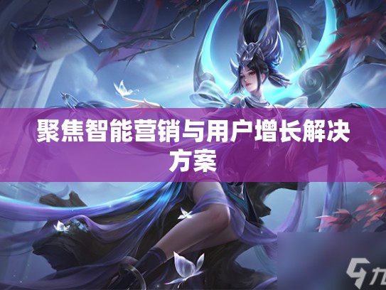 聚焦智能营销与用户增长解决方案