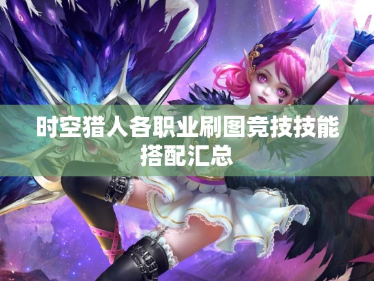 时空猎人各职业刷图竞技技能搭配汇总