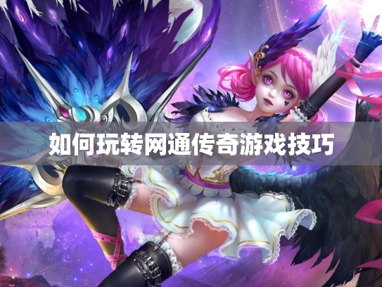 如何玩转网通传奇游戏技巧