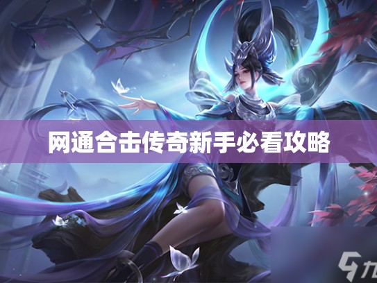 网通合击传奇新手必看攻略