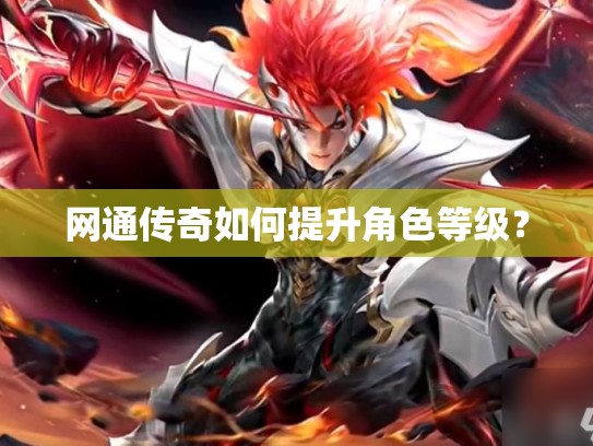 网通传奇如何提升角色等级？
