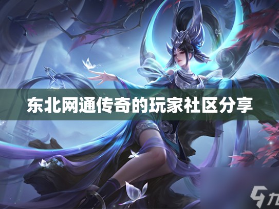 东北网通传奇的玩家社区分享