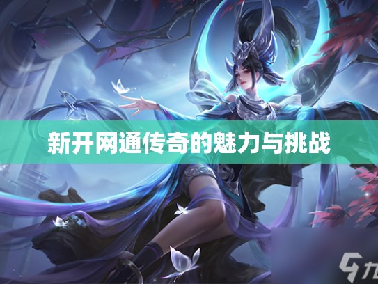 新开网通传奇的魅力与挑战