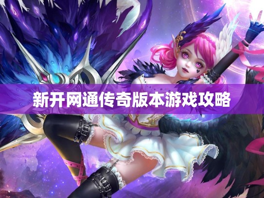 新开网通传奇版本游戏攻略 新开网通传奇版本游戏攻略
