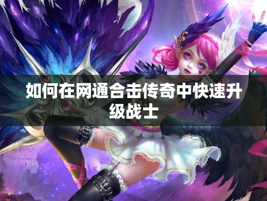 如何在网通合击传奇中快速升级战士