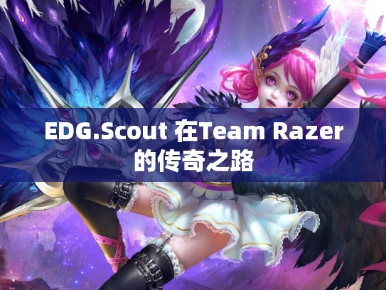 EDG.Scout 在Team Razer的传奇之路