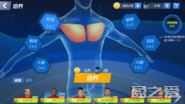 最佳11人怎么培养球星 最佳11人培养球攻略